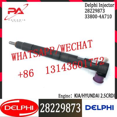 China 33800-4A710 28229873 Diesel Fuel Injector For Hyundai KIA 2.5CRDI Mobis Starex Del Phi 28229873 for sale