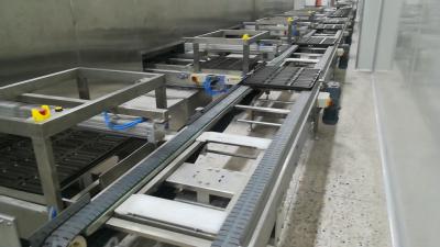 China Linha de produção automática do pão do Turnkey do CE com refrigerador espiral à venda