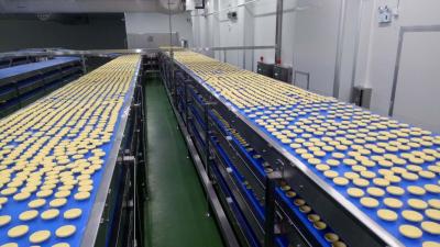 China Independent Controlled FDA SUS304 Food Industry Conveyors for sale
