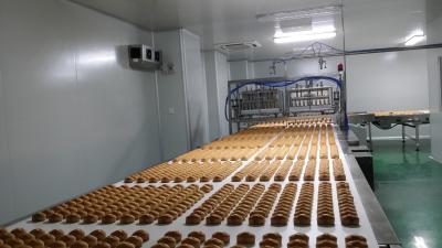 China Transportadores de enfriamiento de la industria alimentaria de la capa multi recta de la correa sin fin en venta
