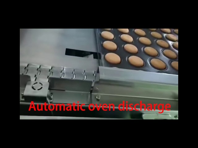 CE SUS304 Semi Automatic Sponge Cupcake Production Line