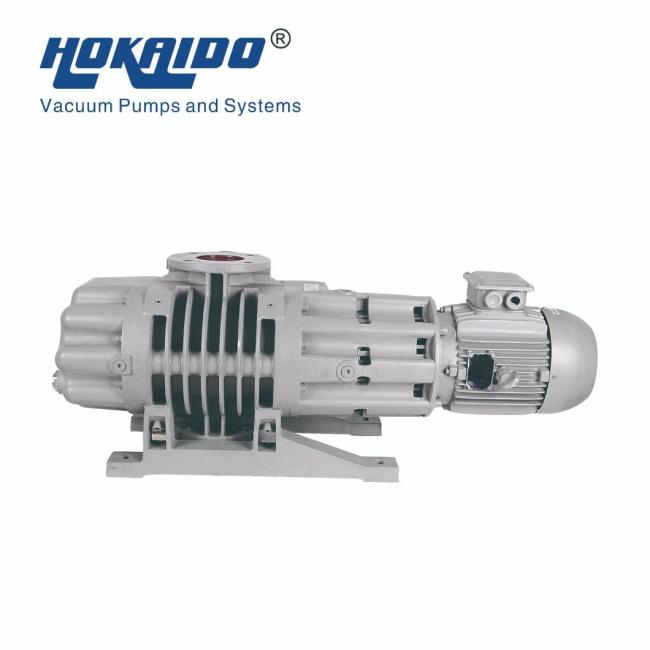 500/1000/2000m³ /H Roots Vacuum Pump Booster Use in Petroleum/Chemical Engineering/Medicine/Pharmacy/Food/Spinning/Daily Use Chemical/ Resin Deaeration