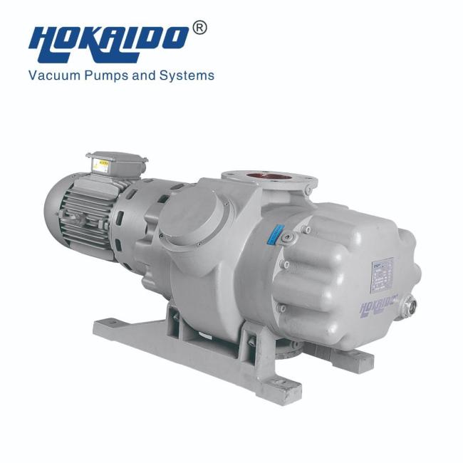 500/1000/2000m³ /H Roots Vacuum Pump Booster Use in Petroleum/Chemical Engineering/Medicine/Pharmacy/Food/Spinning/Daily Use Chemical/ Resin Deaeration