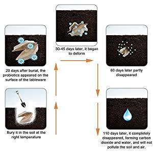 Decomposition process