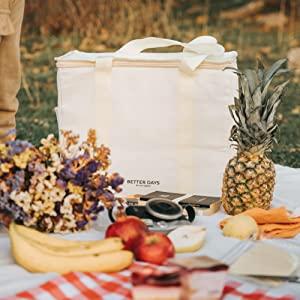 Insulated Reusable Grocery Bag