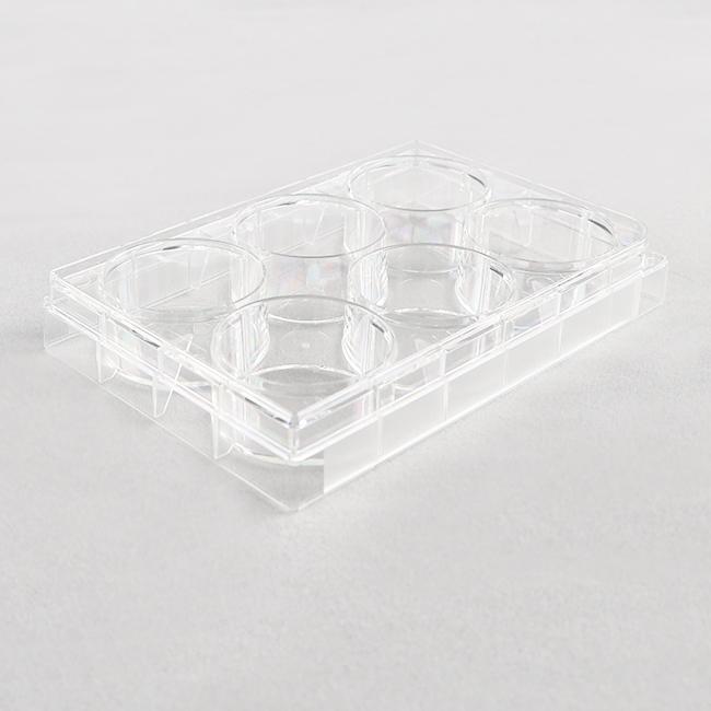 6 Well Cell Culture Plate