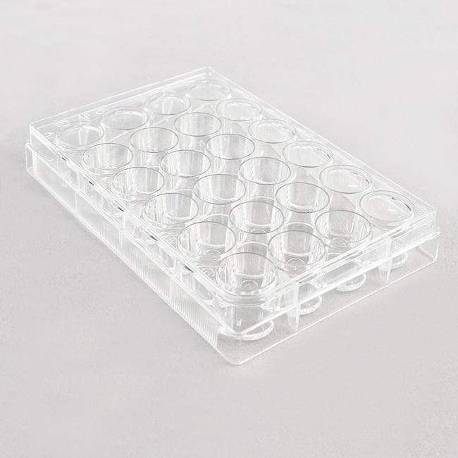 Cell Culture Plate