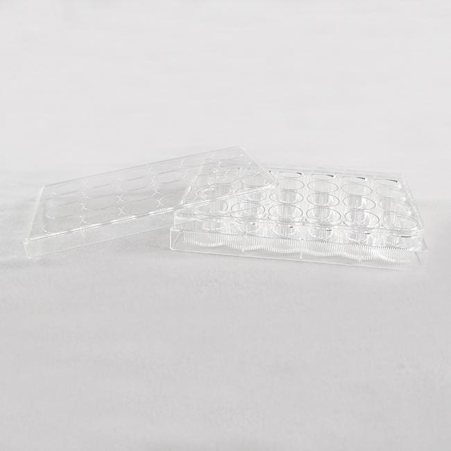 Cell Culture Plate