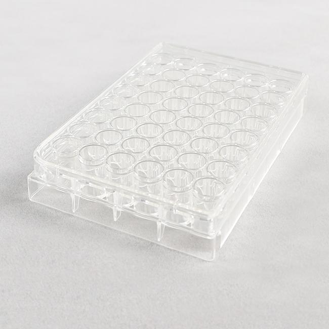 Cell Culture Plate