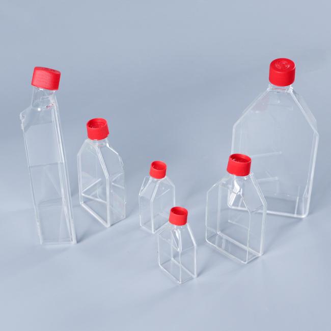 cell culture flask