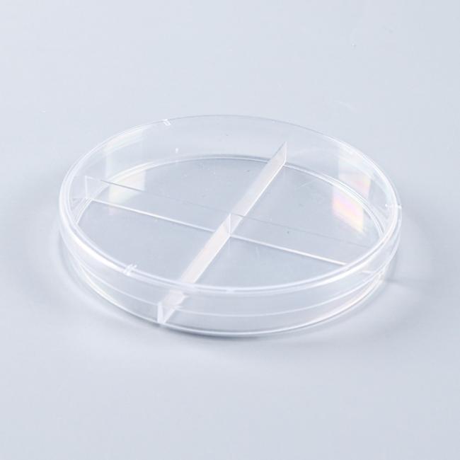petri dish