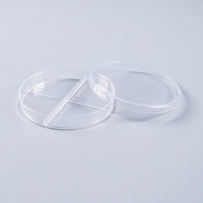 petri dish