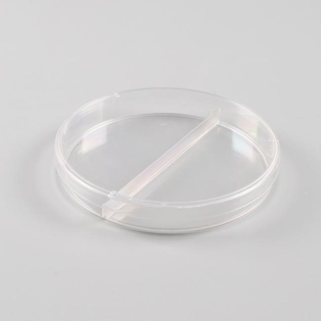 petri dish