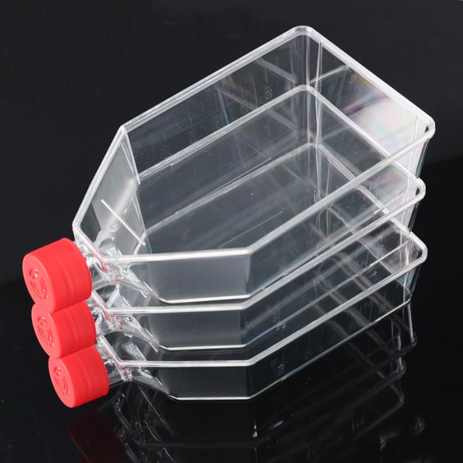 cell culture flask