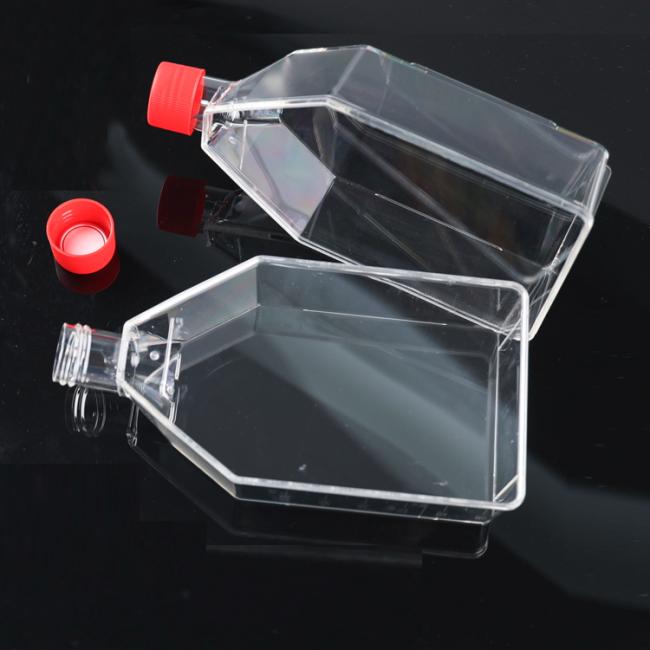 cell culture flask