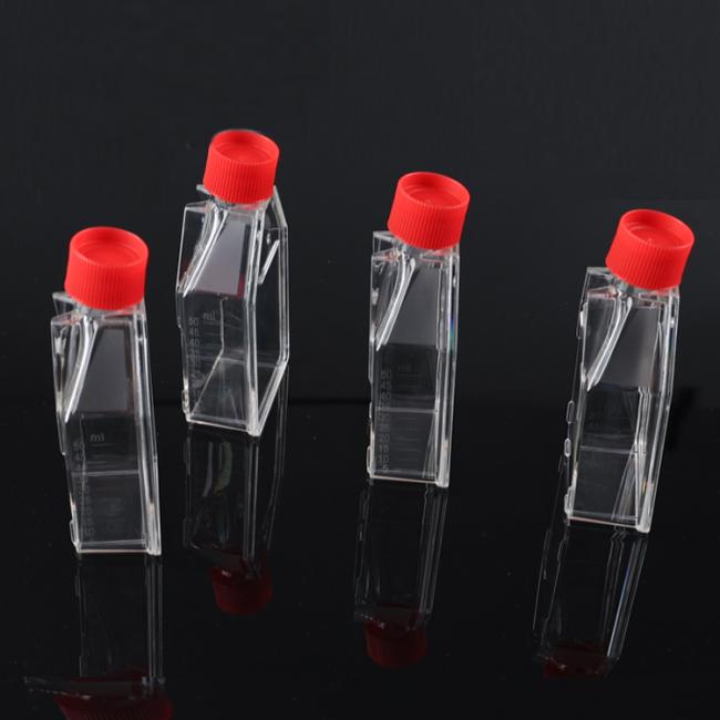 cell culture flask
