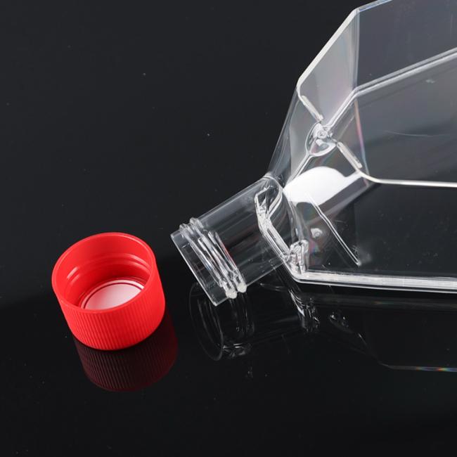 culture flask