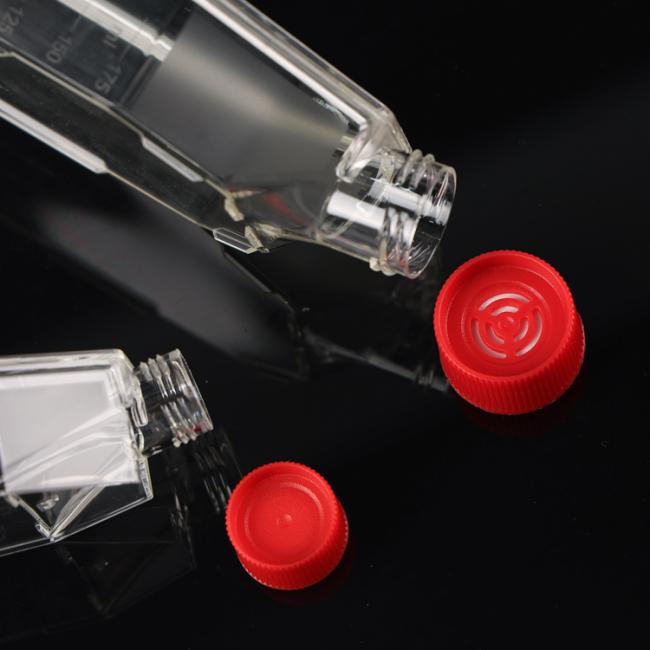 cell culture flask
