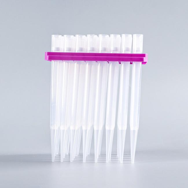 Universal Filter Pipette Tips P1000