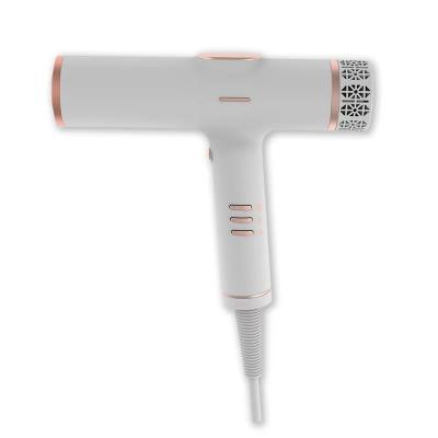 China Brushless Negative Ion Blow Dryer High Speed Salon Hair Dryer Mini Travel for sale
