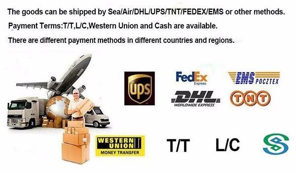 TS16949 for BMW Air Suspension Shock Absorber Rear Right E65 E66 OEM 37126785538