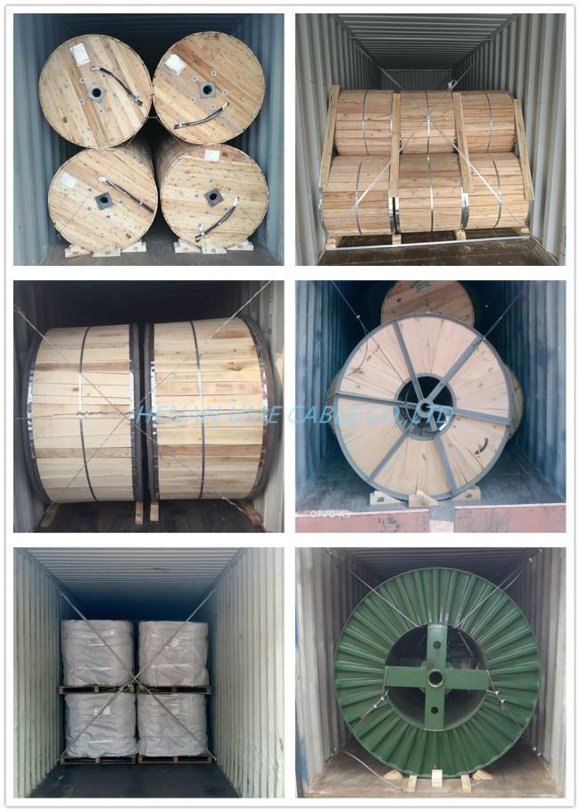 IEC Standard Overhead Cable ACSR Conductor for Power Substation