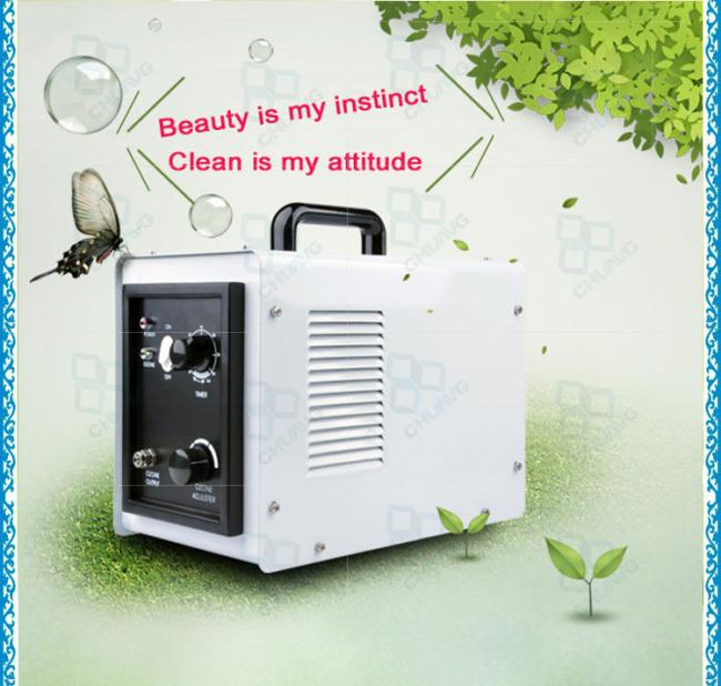 3 - 5 G / Hr Air Cooling 80W House cleanion Ozone Air Purifier With Domestic