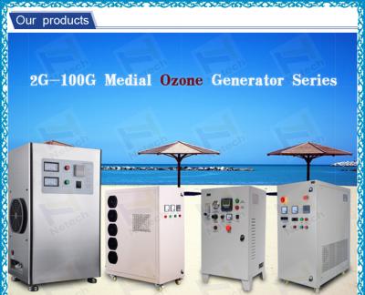 China Corona Discharge Food Ozone Generator For Sea Food clean 50 / 60HZ for sale