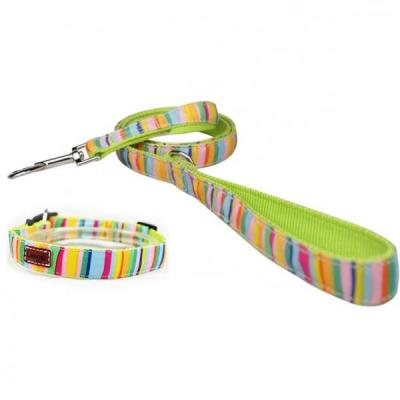 China Cute Dog Collars And Leashes 600D Rainbow Oxford Material With Strong ABS Buckle for sale