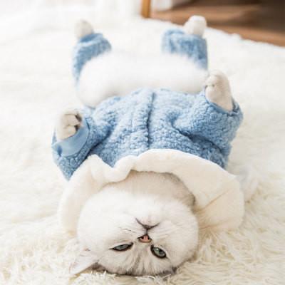 Китай Теплые коты нося дизайн пуловера Хоодие ушей зайчика окружающей среды одежд дружелюбный продается
