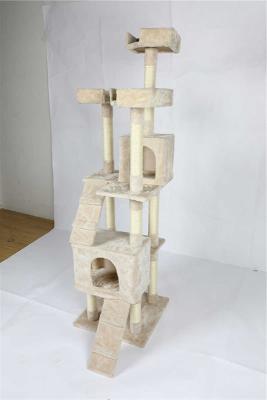 China Eco Friendly Cat Climbing Frame Multi Level Design With Soft Perches for sale