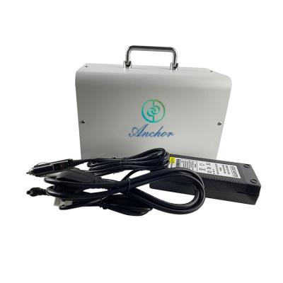 China 3g 12v 24v Ozone Sterilizer Machine For Car Home Electrical Portable for sale