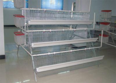 China 160 Birds Layer Chicken Coop Q235 Conventional Cages For Laying Hens for sale