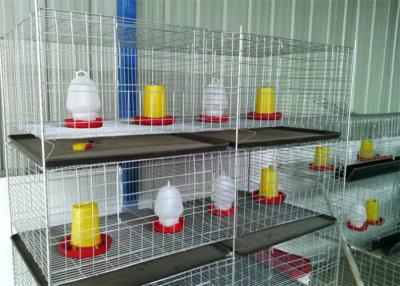 China A Type RTL Chicken Cage / 3 Tier 5 Doors Galvanized Layer Poultry Cage For Broilers for sale