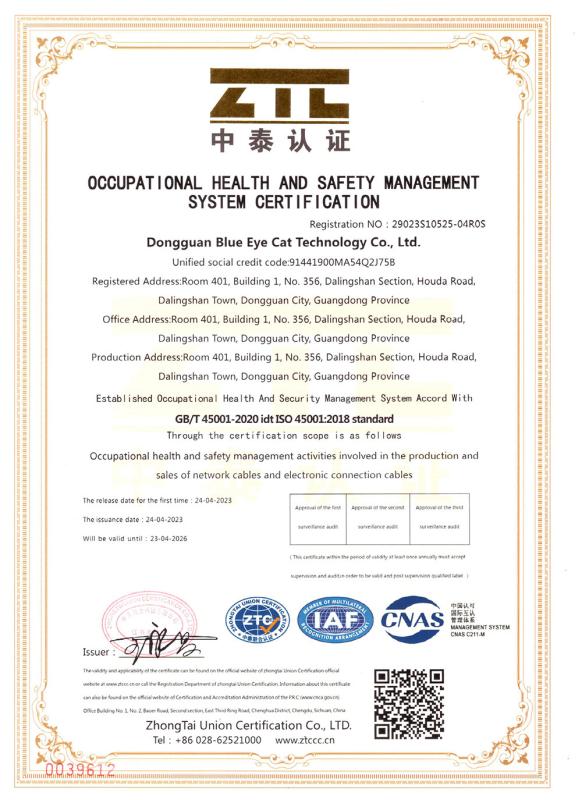 ISO 45001 - Dongguan Blue Eye Cat Technology Co., Ltd.
