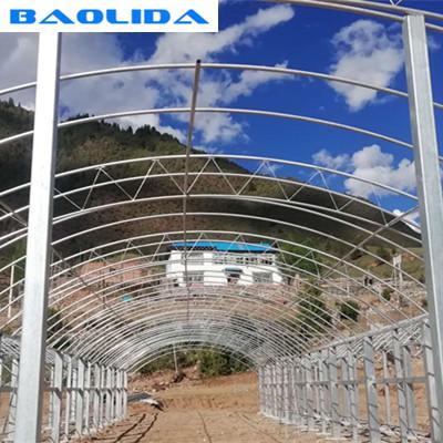 Large Steel Frame Double Arch 4.5m Multi Span Greenhouse 0