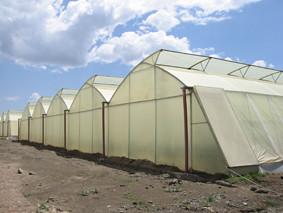 China Anti Corrosion Multi Span Greenhouse With Side Double Layer Wind Resistant Skeleton for sale