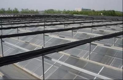China PC Sheet Commercial Outdoor Greenhouse , Cooling Pad Greenhouse Shading Systems for sale