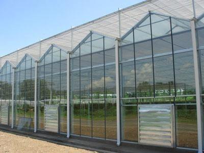 China Flower Glass Multi Span Greenhouse XS - GL9600 / 12000 Venlo Large Green Houses for sale