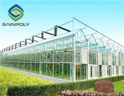 China 8m 10m Multi Span Greenhouse For Plant Fruits Vegetables Flowers for sale