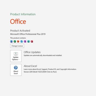 China Licencia dominante  Office 2019, llave global 2019 de 5 Digitaces de la PC del producto de Excel en venta