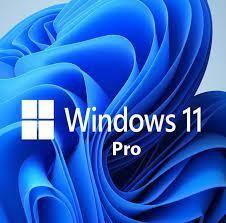 China Windows 11 Professional Best For Small Businesses Simple And Flexible Management for sale