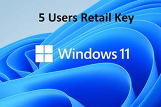 Китай Windows 10/11 домашнее издание розничная продажа 5 пользовательский код активации продается