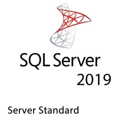 China SQL SERVER 2019 STANDARD KEY 16 CORES GLOBAL Activación durante toda la vida en venta