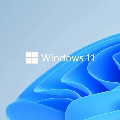 Chine Internet Scdkey de clé de produit de gigaoctet  Windows 11 de la vie 64 à vendre