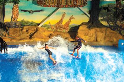 China Enjoying Flowrider Water Ride , Surfing Attractive Wave Skid Board / Aqua Park Amusement for sale