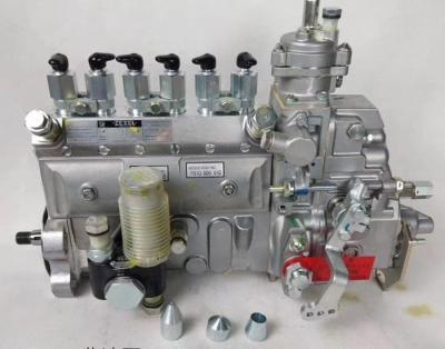 Chine 6738-71-1110 pompe à essence du moteur diesel 6D102 à vendre