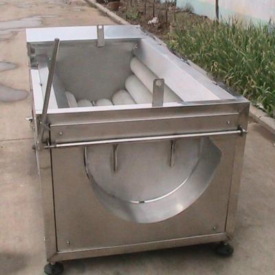 China 200kg/h Capacity Industrial Cassava Peeling Washing Machine with Water Saving Design for sale