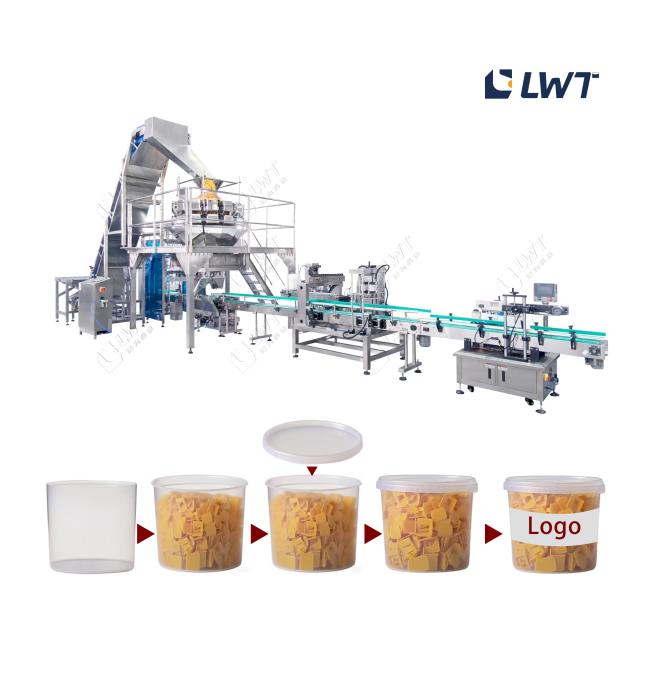 10L Drum Fully Automatic Filling Line for Plastic Parts - Auto Loading, Weighing, Capping