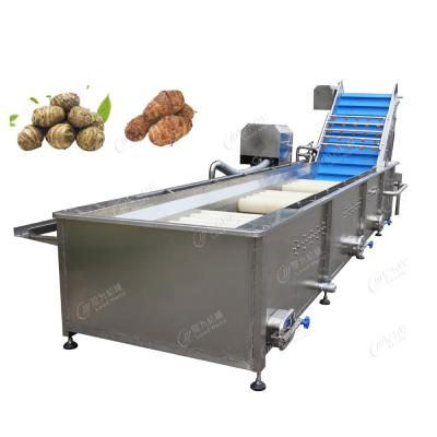 China Vegetable Cleaning Peeling Machine Potato / Carrot / Cassava / Taro Washing Cleaning Machine for sale